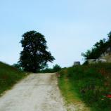 Fort Monostor